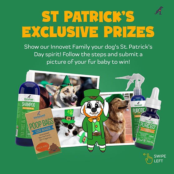 St Patrick's day photo contest giveaway ideas